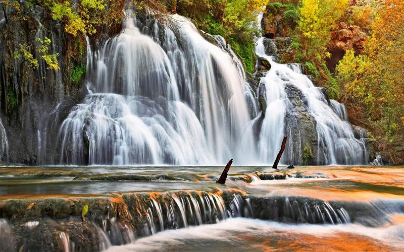 全自动高质量